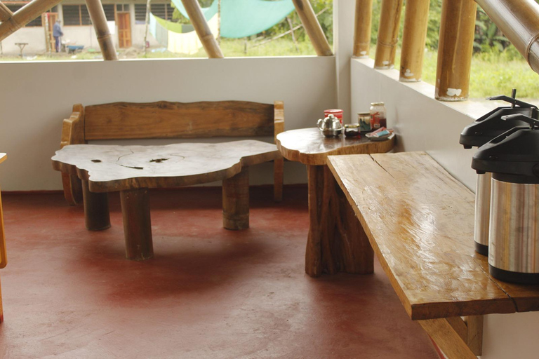 From Cusco: Manu Park 3-day ecotourism and adventure From Cusco: Manu Park 3-day ecotourism and adventure