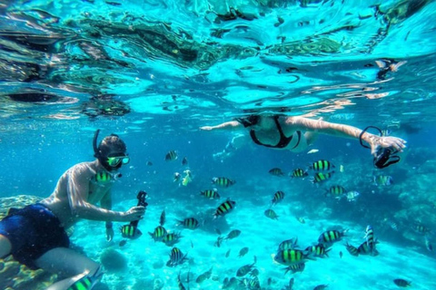 Mnemba Eco Snorkel,Dolphins,Starfish & Tumbatu Island Sunset