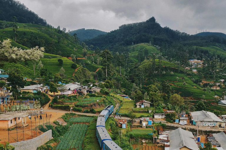 Colombo to Kandy Day Tour | True Story of the Last Kingdom