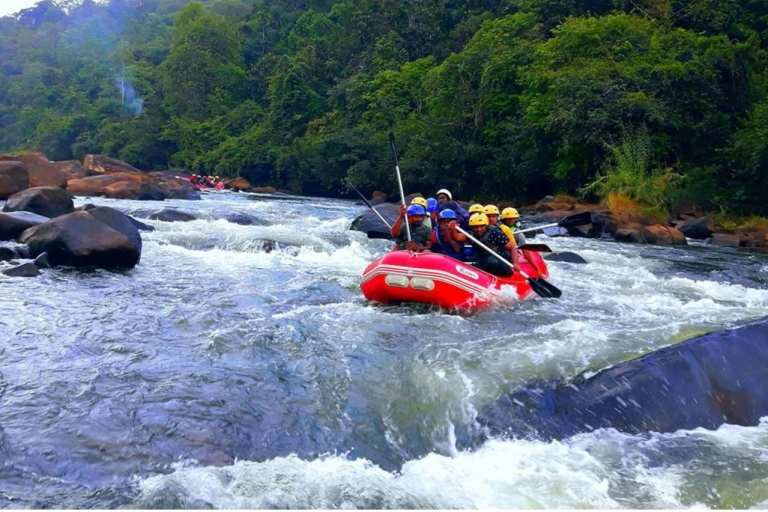 From Negombo: White Water Rafting in Kithulgala Negombo: White Water Rafting in Kithulgala without Lunch