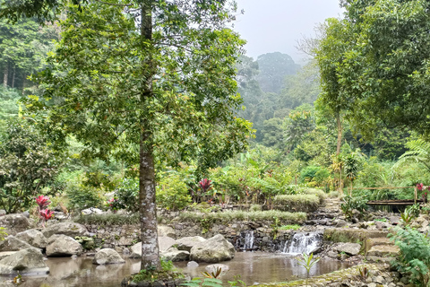 Le meraviglie naturali segrete e poco affollate di Java: 2-D tutto compresoJava fuori dai sentieri battuti: splendore coloniale e meraviglie naturali