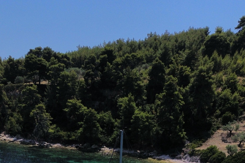 Skopelos: Full-Day Sailing Cruise to Alonissos & Marine Park