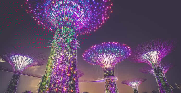 Singapore River Cruise, Garden Rhapsody & Spectra by CYT photo 6