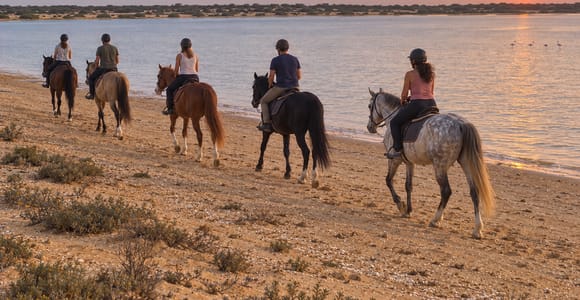 Sousse: Horseback Riding Tour to Flamingo Lake