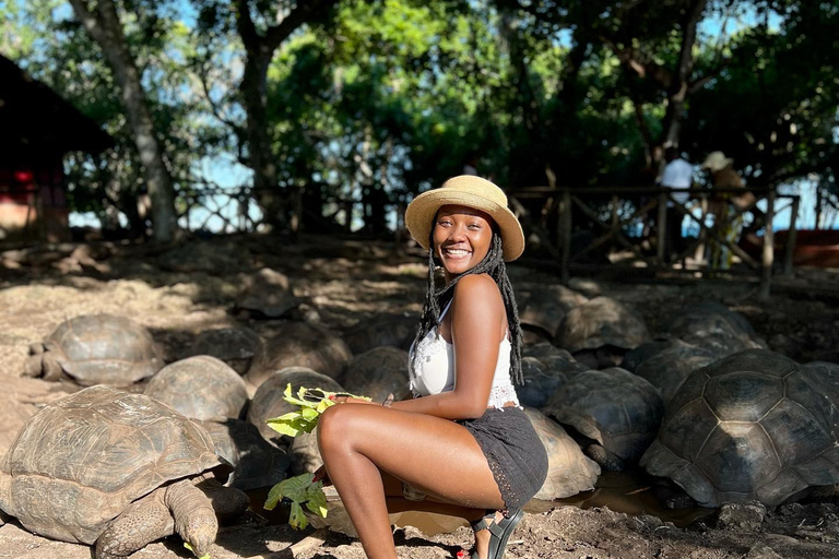 Ciudad de piedra y prisión Isla