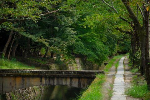 Kyoto E-Bike Tour