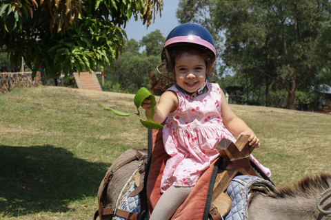 Esperienza di passeggiate con gli asini per bambini