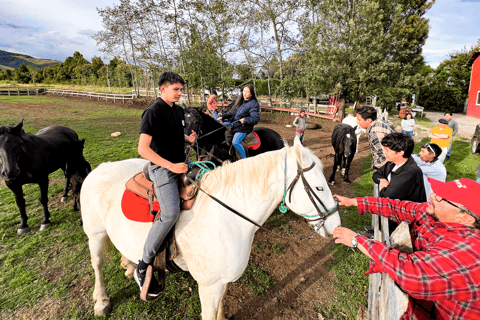 Avontuur te paard in het hart van de Ecuadoraanse Andes