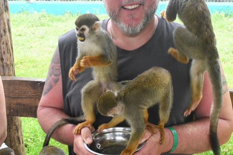 Puerto Plata: Exclusive Monkey Tour for Cruise Passengers