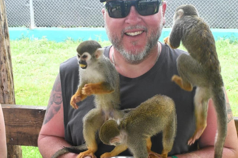 Puerto Plata: Exclusive Monkey Tour for Cruise Passengers