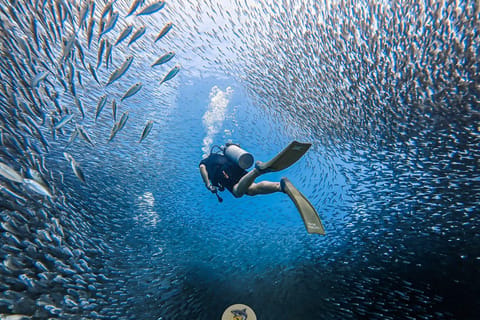 Phuket: Koh Racha Discovery Dive with Optional 2 or 3 Dives