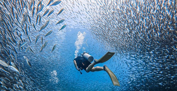Phuket: Koh Racha Discovery Dive with Optional 2 or 3 Dives