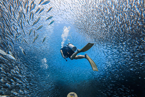 Phuket: Koh Racha Discovery Dive with Optional 2 or 3 Dives 2 Discovery Dives