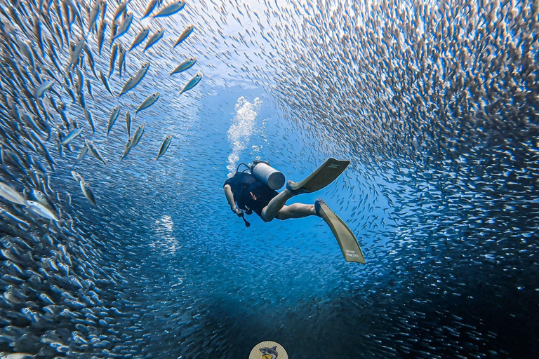 Phuket: Koh Racha Discovery Dive with Optional 2 or 3 Dives 3 Discovery Dives