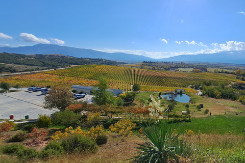 Sofia: Melnik & Rozen Monastery - wine, history, scenic walk