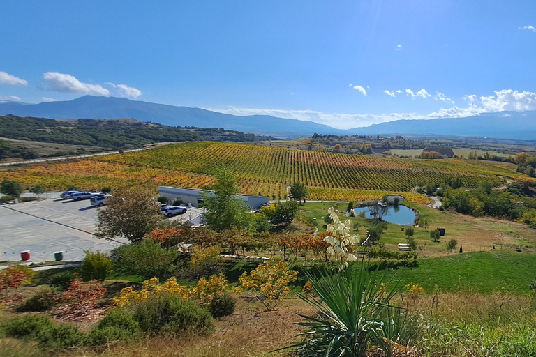 Sofia: Melnik & Rozen Monastery - wine, history, scenic walk