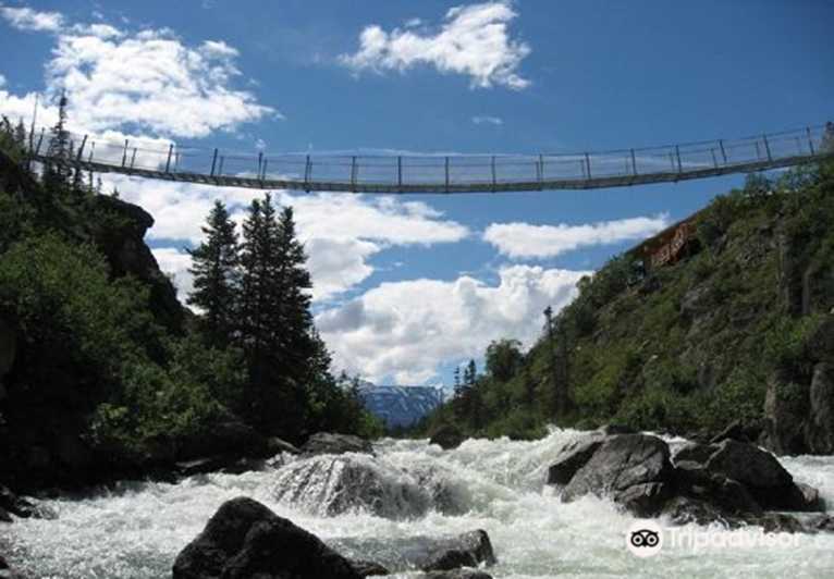 Von Skagway aus: White Pass und Yukon Hängebrückentour