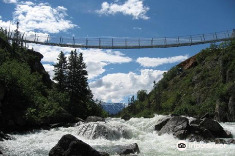 De Skagway: Passeio ao White Pass e à ponte suspensa de YukonDe Skagway: White Pass e Yukon Suspension Bridge Tour