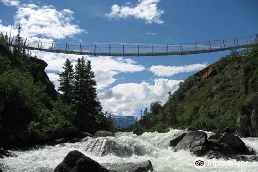 Von Skagway aus: White Pass und Yukon Hängebrückentour. Foto: GetYourGuide
