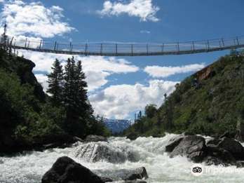 Von Skagway aus: White Pass und Yukon Hängebrückentour