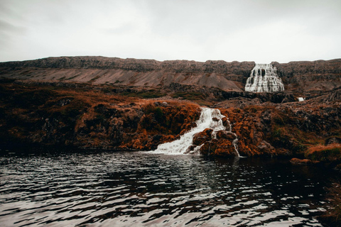 Isafjordur: Wycieczka do wodospadu Dynjandi