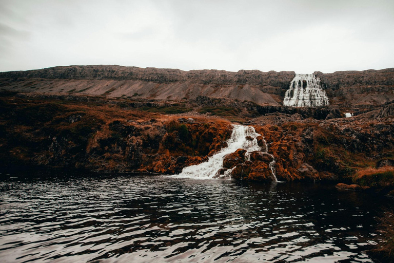 Isafjordur: Wycieczka do wodospadu Dynjandi