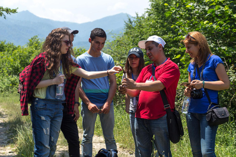 De la forêt aux monastères : Une visite magique de Dilijan et d'Ijevan