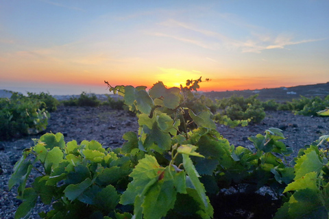 Santorini: From Reel to Real – Private Tour of Hidden Gems Santorin : visite privée en français – joyaux cachés