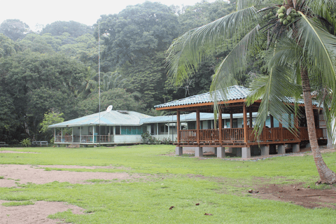 Parco Nazionale del Corcovado: Tour Sirena di un giorno Baia di Drake-Corcovado