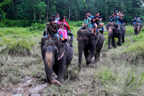 Nepal: Chitwan National Park Safari (All Inclusive 3 days) Private Transfers: 3 Days Chitwan National Safari