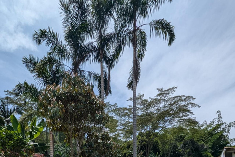 Medellín: Luxury Coffee Farm Tour with Tastings