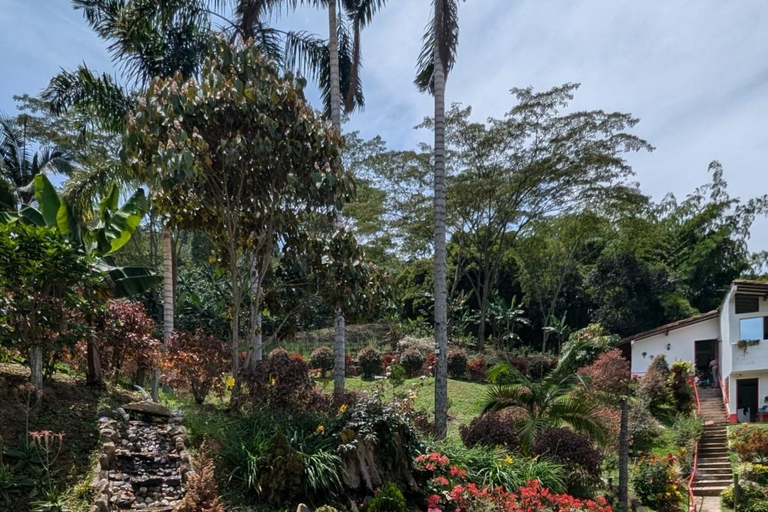 Medellín: Luxury Coffee Farm Tour with Tastings