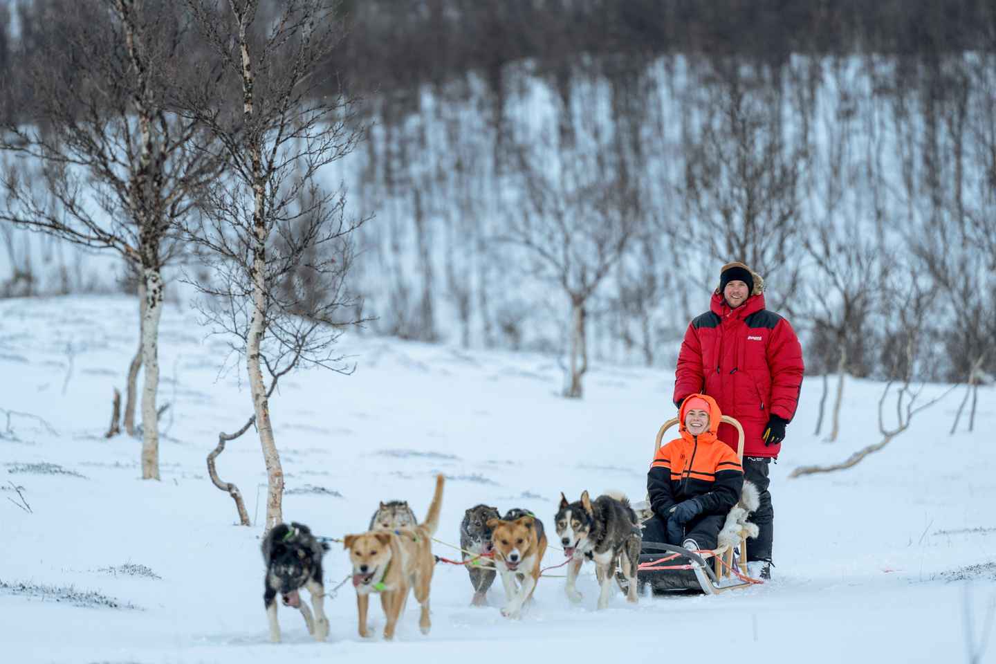 트롬쇠: 고급 개썰매 & 눈 공원 투어