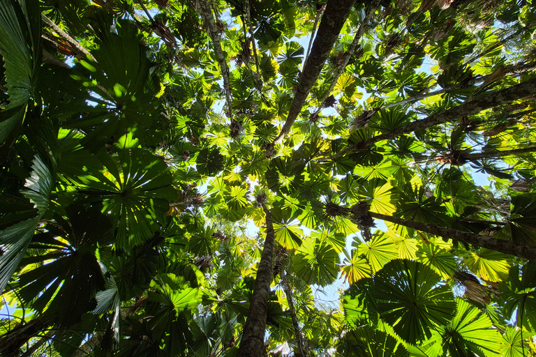 Private Great Barrier Reef and Mossman Gorge Tour