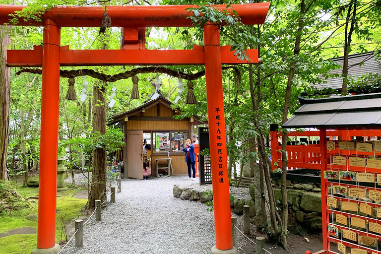 Osaka/Kyoto: Arashiyama, Nara Park & Fushimi Inari Day Tour Kyoto Departure: Private Sightseeing Tours