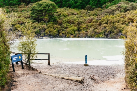 Nouvelle-Zélande : Hells Gate, bain de boue et spa