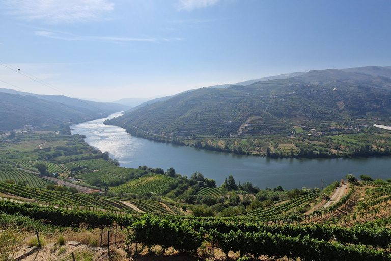 From Porto: Douro Valley Wine Tasting Tour With Hotel PickupPickup at Hotel