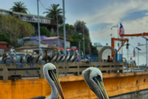 Valparaiso and Viña del Mar: Private Tour from Santiago