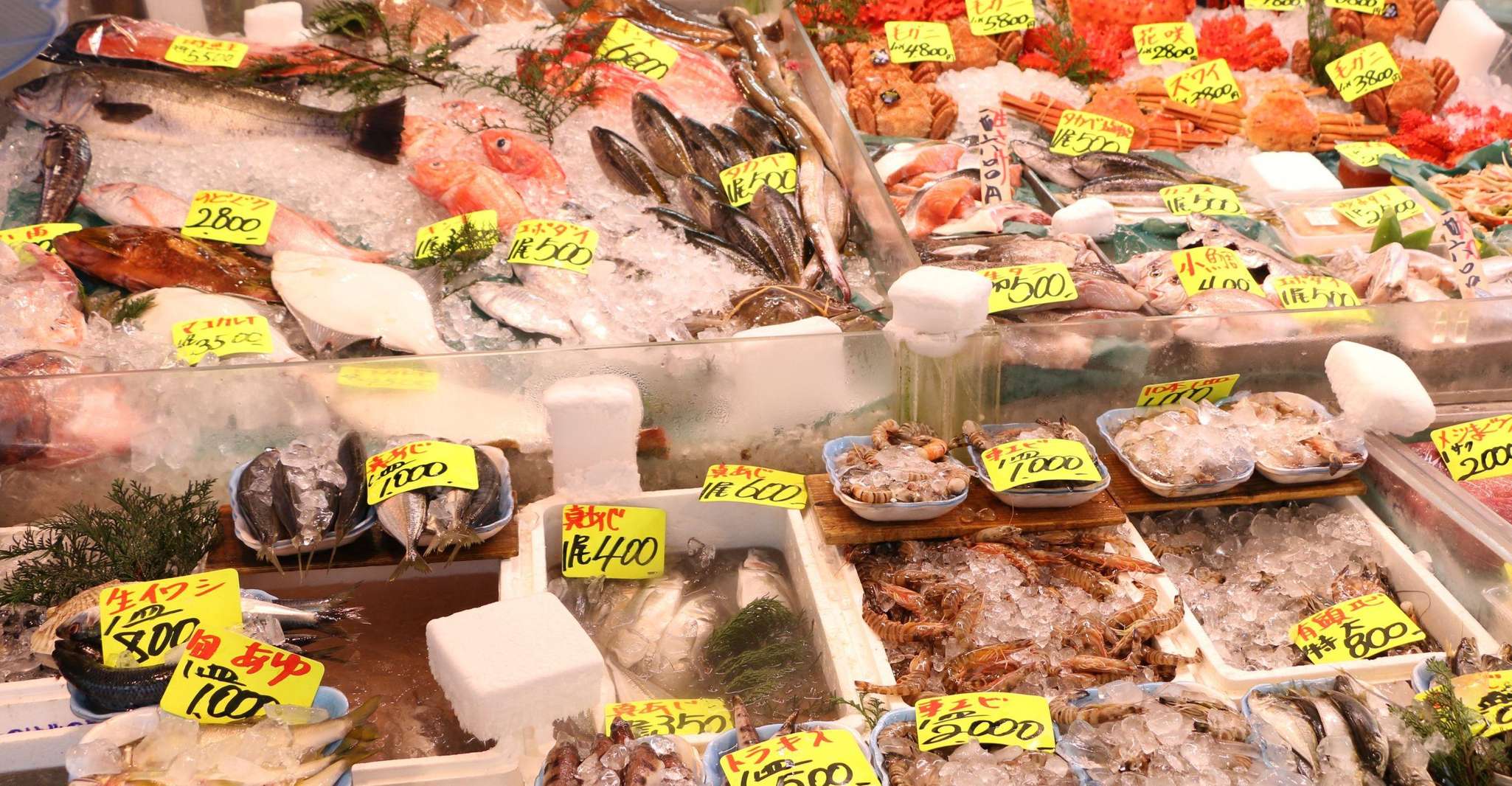 Tokyo: Sushi and Ramen Cooking Class with Sake Pairing Set photo 20