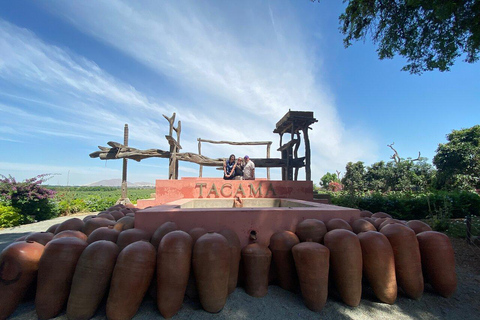 Ica: Tour del Pisco: Tacama, Arrabal, Bodega Lovera.