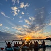Sydney: Harbour Sunset Kayak Tour