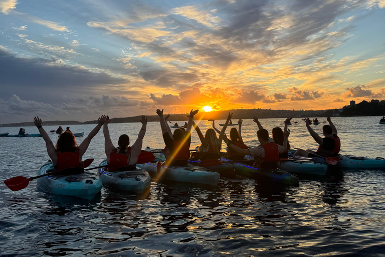 Sydney: Harbour Sunset Kayak Tour Sunset Single Kayak Tour