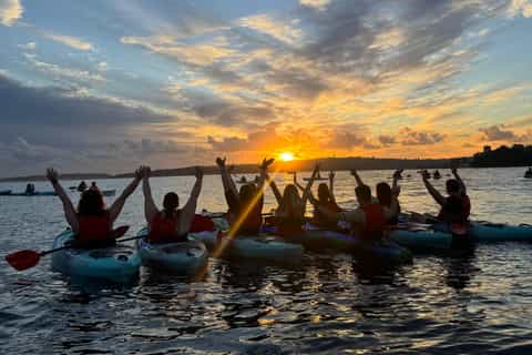 Sydney: Harbour Sunset Kayak Tour - Image 3