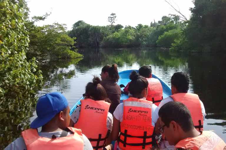 Punta Cometa: Cocodrilos e Mazunte