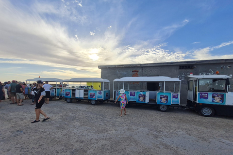 正宗杰尔巴：日落马车之旅和东方小吃正宗杰尔巴岛：日落马车之旅和免费东方小吃