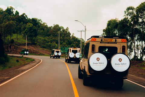 3 Dagen Gorilla &amp; Gouden Aap trektocht