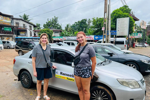 Safari w Parku Narodowym Yala z Ella (bilety wstępu + jeep)