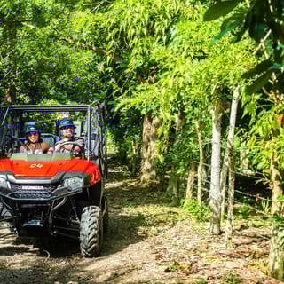 Bayahibe/La Romana: 4x4 Buggy and Monkeyland Tour