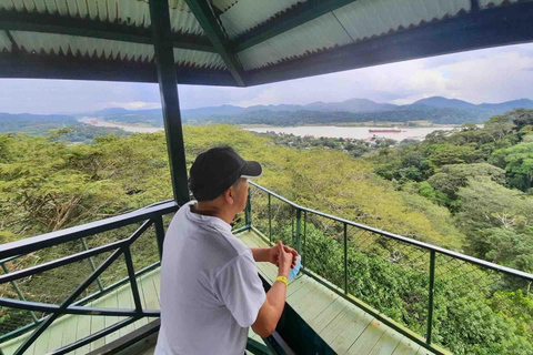 Panama : Buffet, tramway aérien, excursion en bateau à Gatun, sanctuaire des paresseuxPanama : Tram aérien, tour en bateau à Gatun et sanctuaire des paresseux