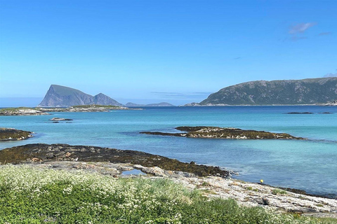 Tromsø: Sommarøy Roundtrip Bus Transfer with Arctic Route